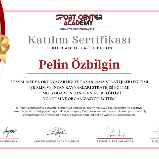 Resmi büyüt: certificate 2