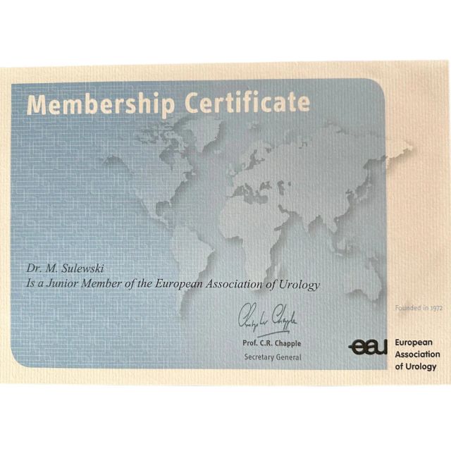 Powiększ obraz: certificate 2