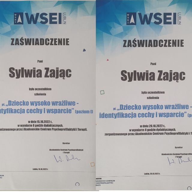 Powiększ obraz: certificate 1