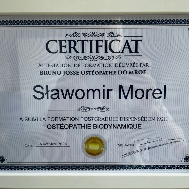 Powiększ obraz: certificate 4