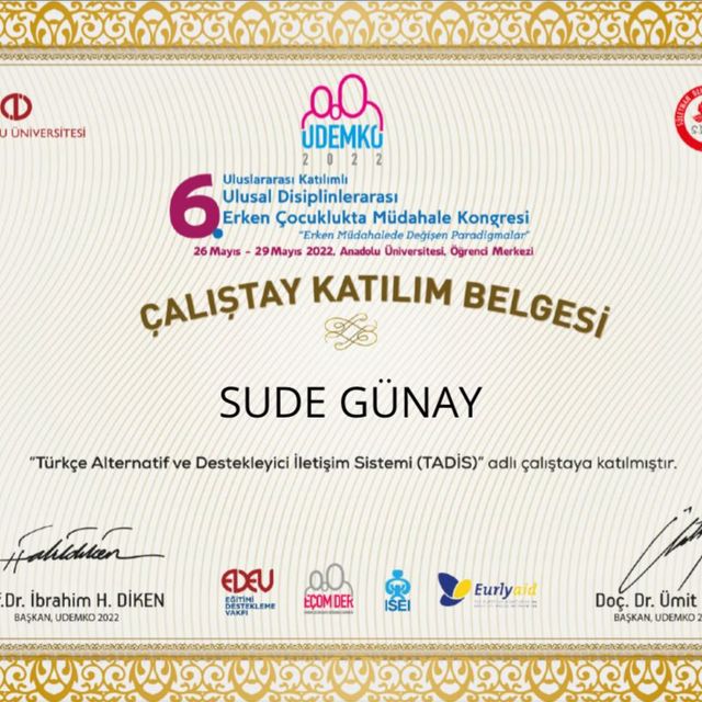 Resmi büyüt: certificate 9