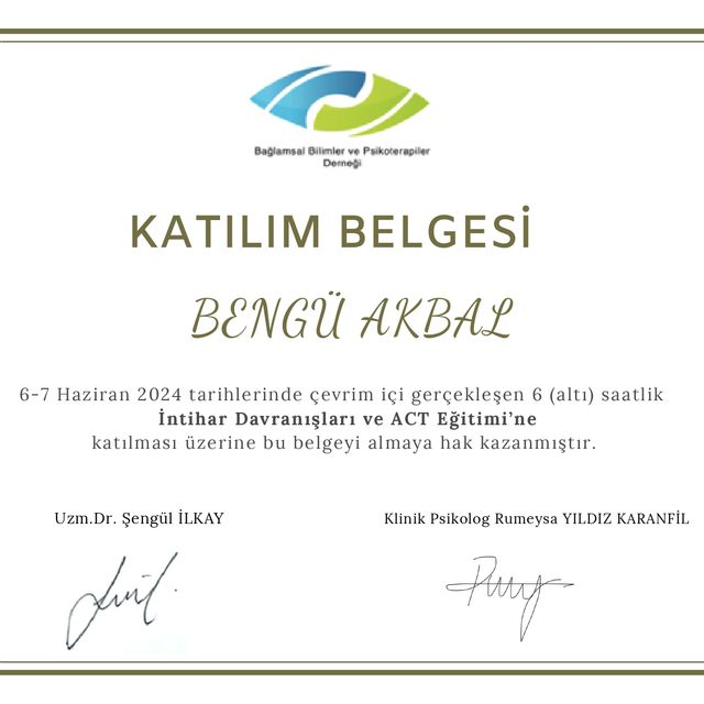 Resmi büyüt: certificate 2