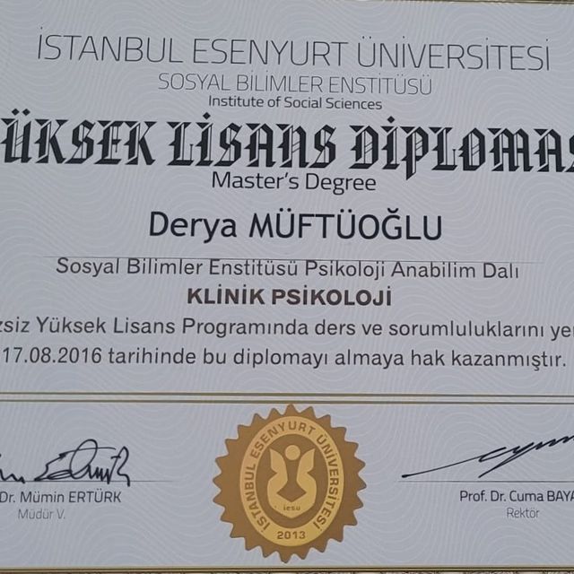 Resmi büyüt: certificate 10