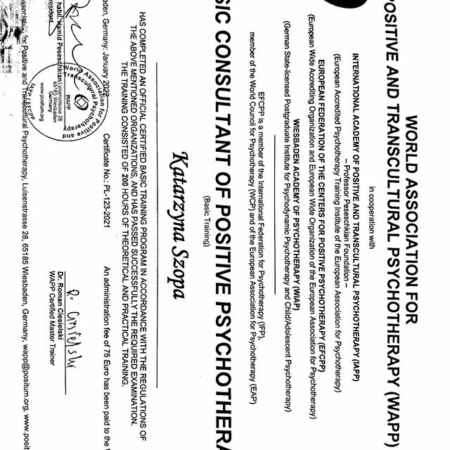Powiększ obraz: certificate 1