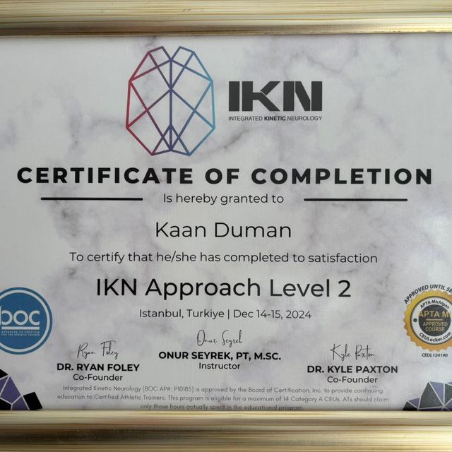 Resmi büyüt: certificate 2