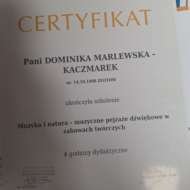 Powiększ obraz: certificate 7