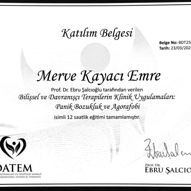 Resmi büyüt: certificate 8
