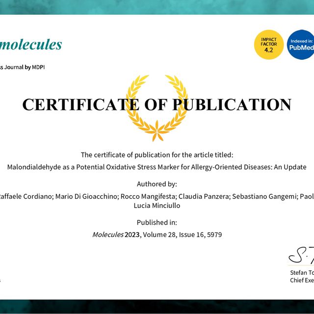 Ingrandire l'immagine: certificate 8