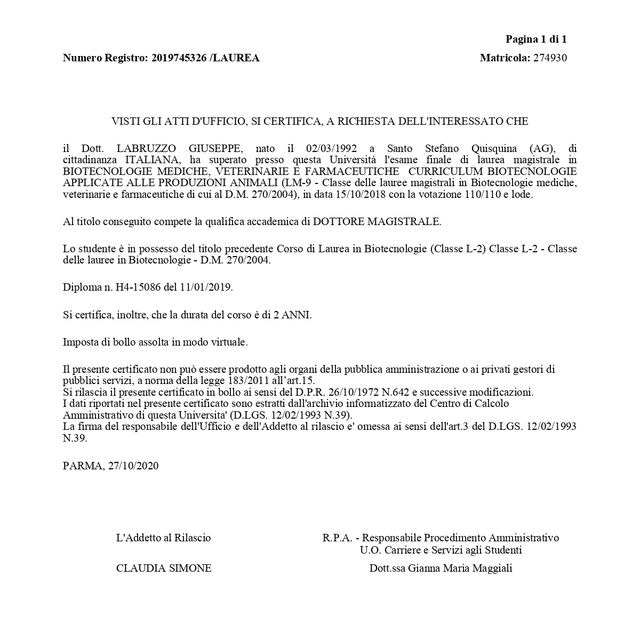 Ingrandire l'immagine: certificate 2
