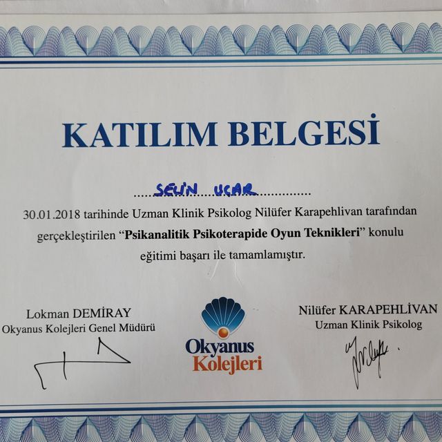 Resmi büyüt: certificate 2