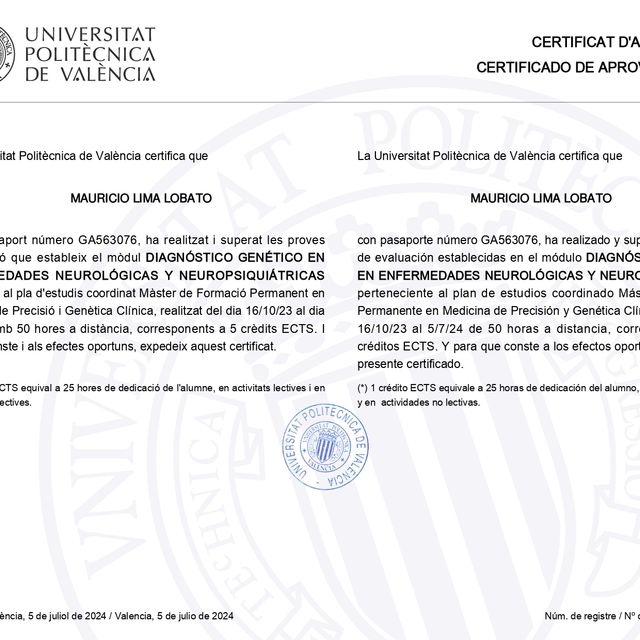 Acercar imagen: certificate 3