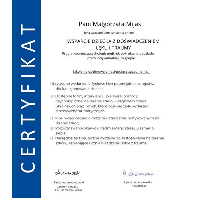 Powiększ obraz: certificate 8