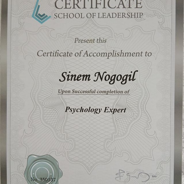 Resmi büyüt: certificate 12