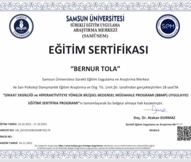 Resmi büyüt: certificate 16