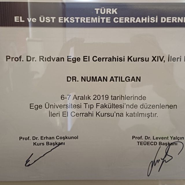 Resmi büyüt: certificate 16