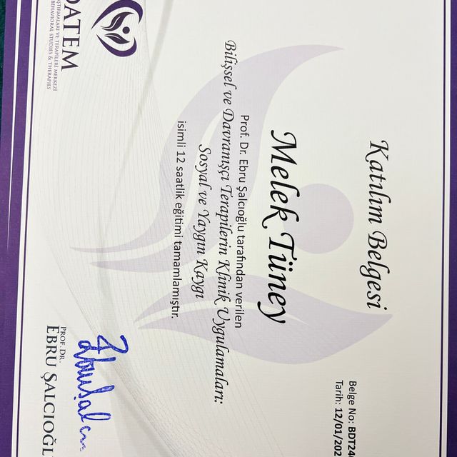 Resmi büyüt: certificate 3