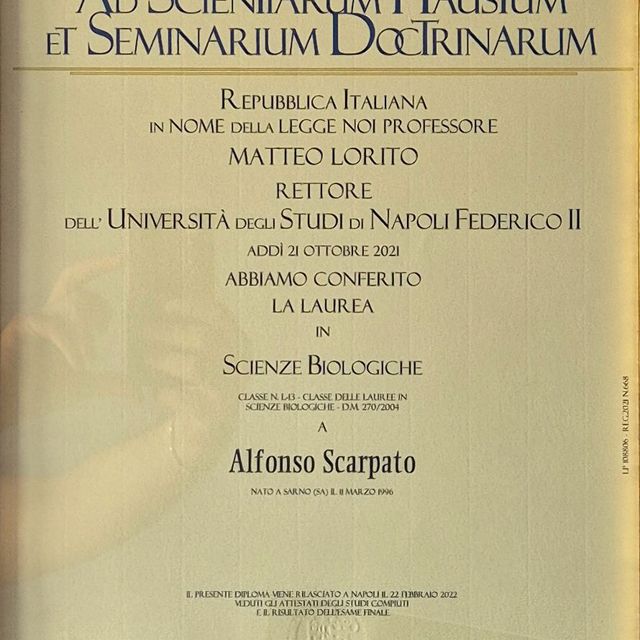 Ingrandire l'immagine: certificate 3