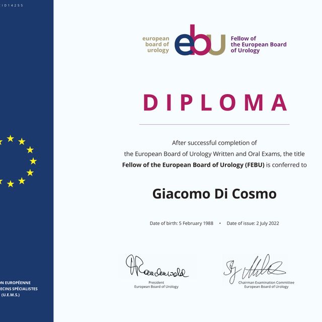 Ingrandire l'immagine: certificate 2