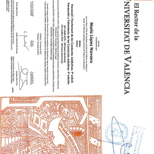 Acercar imagen: certificate 3