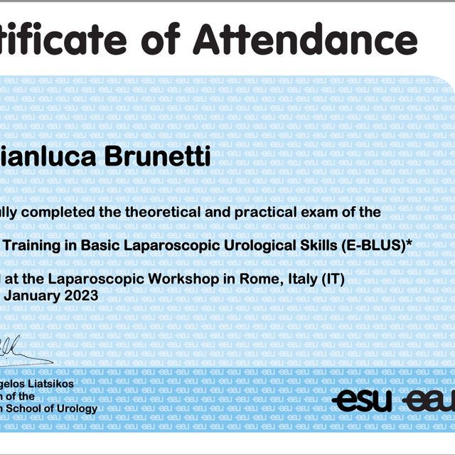 Ingrandire l'immagine: certificate 3