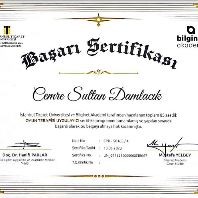 Resmi büyüt: certificate 9