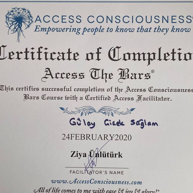 Resmi büyüt: certificate 3