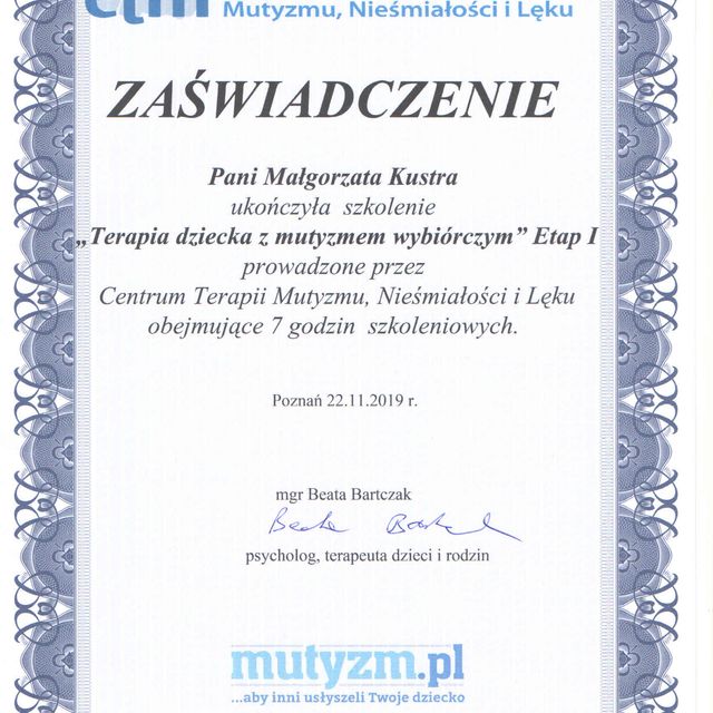 Powiększ obraz: certificate 1