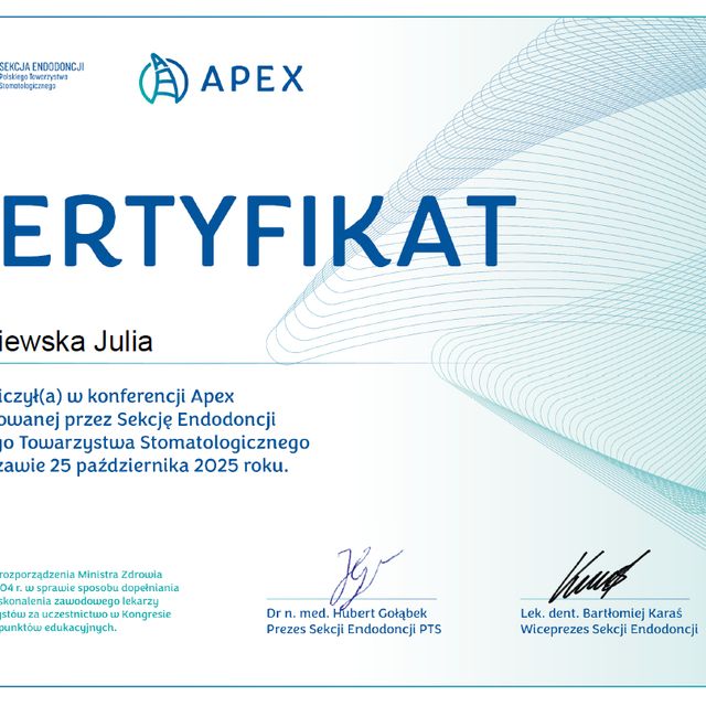 Powiększ obraz: certificate 1