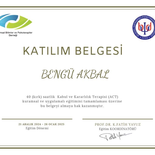 Resmi büyüt: certificate 3