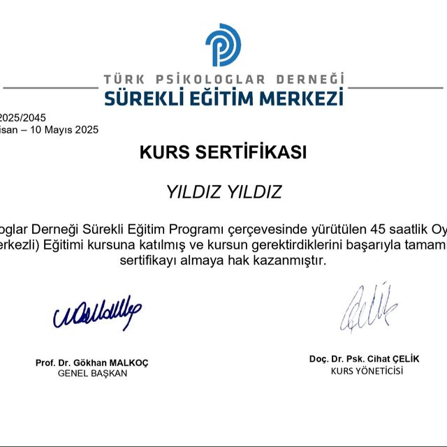 Resmi büyüt: certificate 1