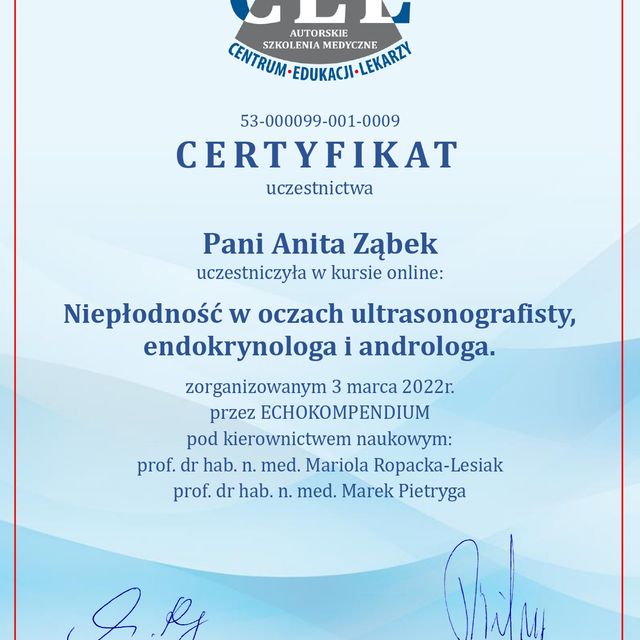 Powiększ obraz: certificate 2