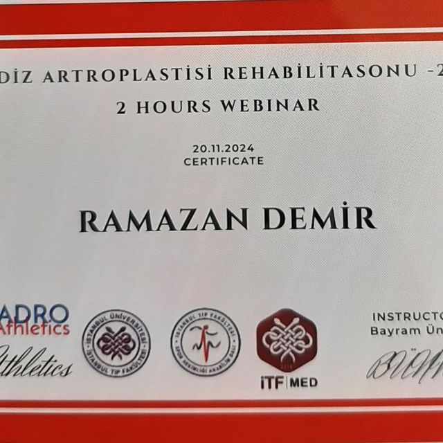 Resmi büyüt: certificate 41