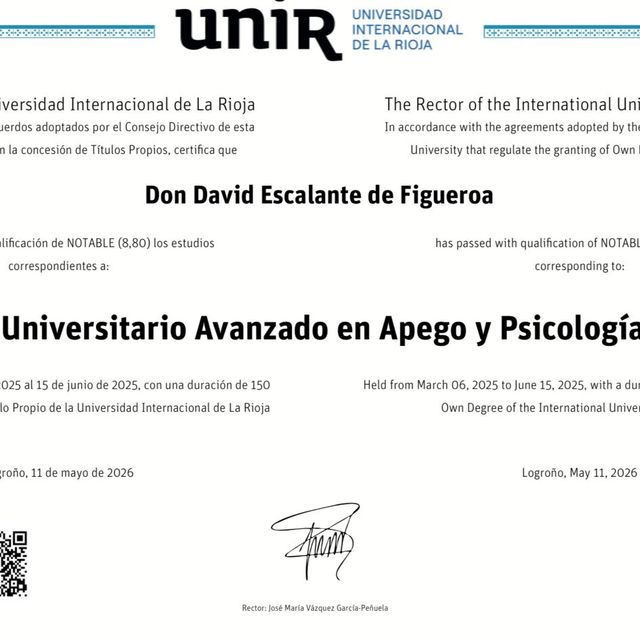 Acercar imagen: certificate 6