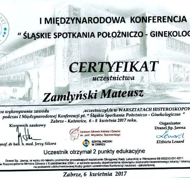 Powiększ obraz: certificate 2