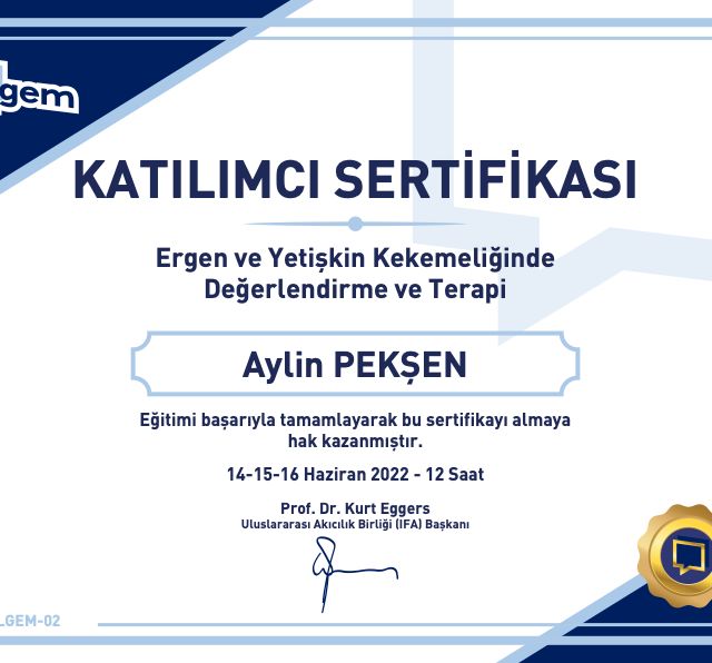 Resmi büyüt: certificate 10