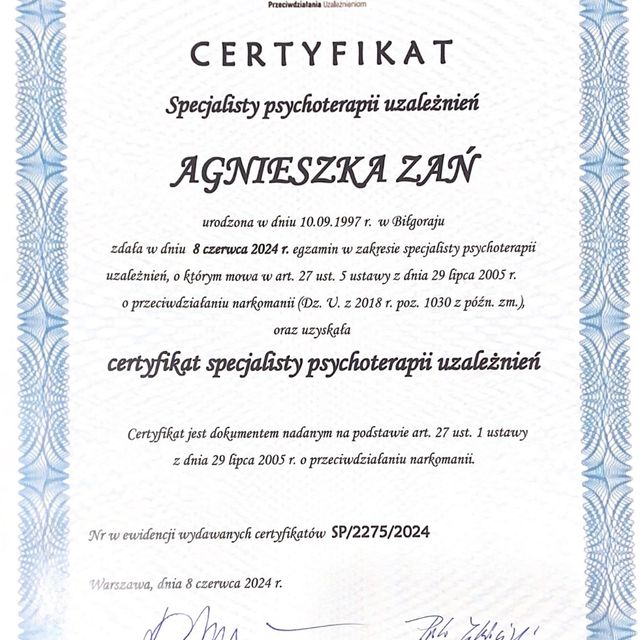 Powiększ obraz: certificate 1