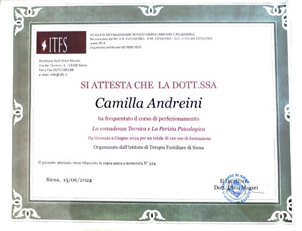 Ingrandire l'immagine: certificate 4