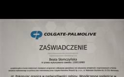 Powiększ obraz: certificate 9
