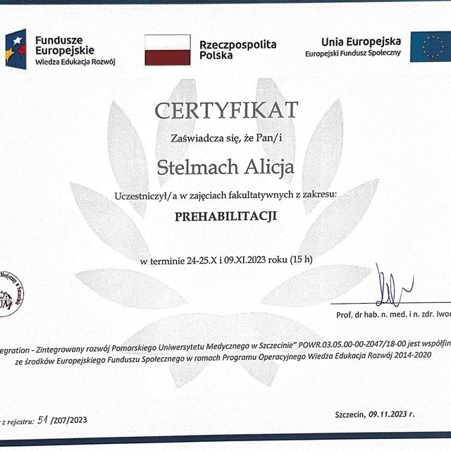Powiększ obraz: certificate 2