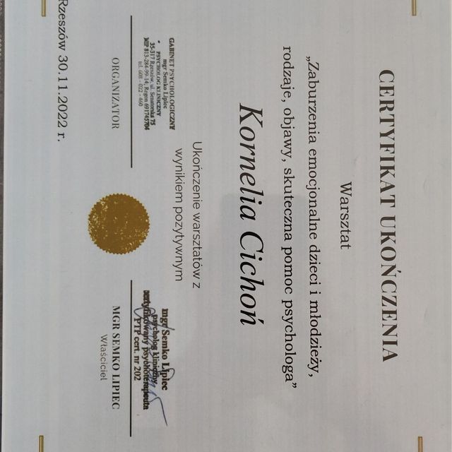 Powiększ obraz: certificate 1