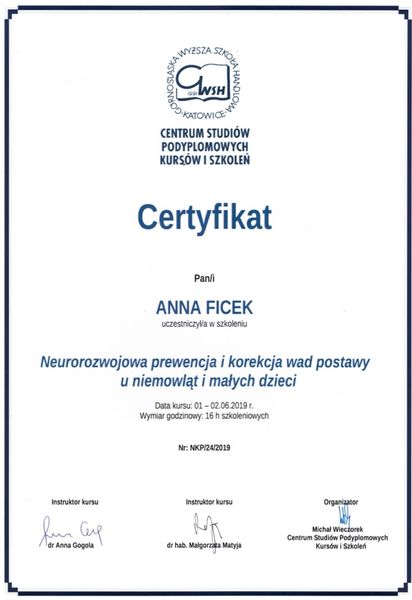 Powiększ obraz: certificate 12