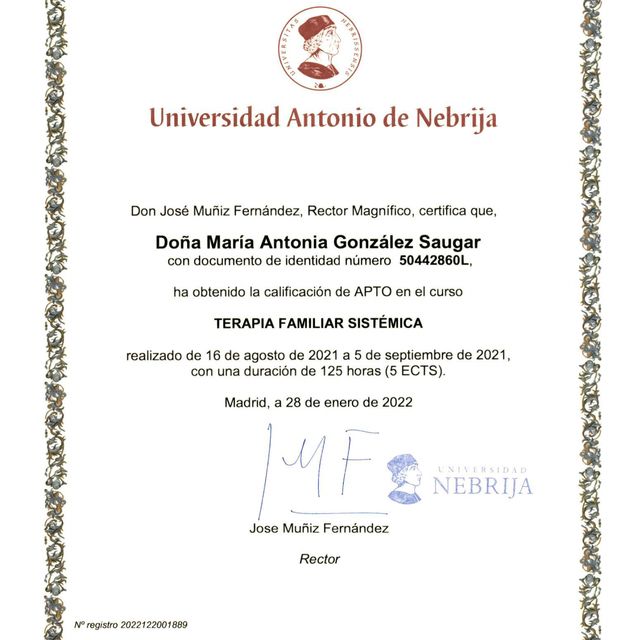 Acercar imagen: certificate 13