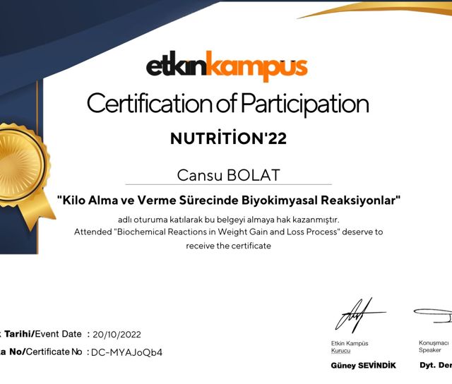 Resmi büyüt: certificate 10