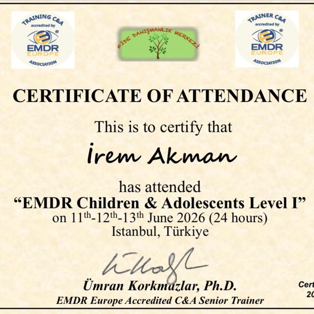 Resmi büyüt: certificate 9