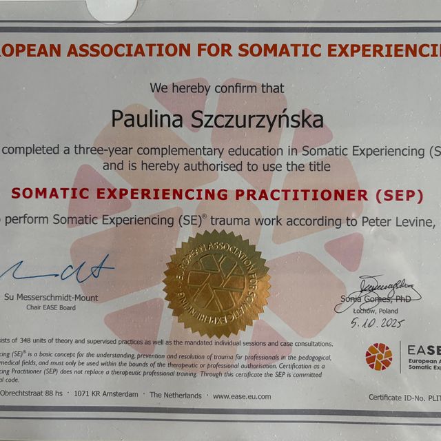 Powiększ obraz: certificate 3