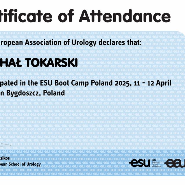 Powiększ obraz: certificate 8