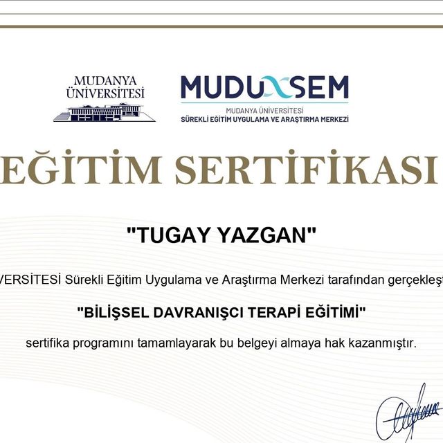 Resmi büyüt: certificate 8