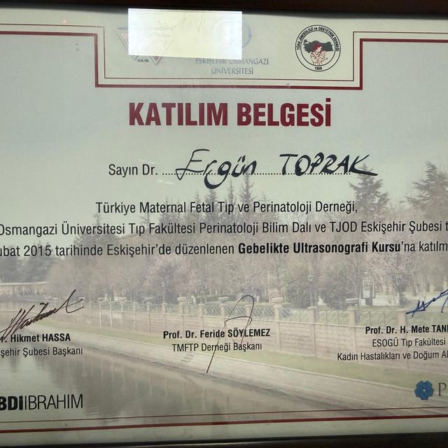 Resmi büyüt: certificate 5