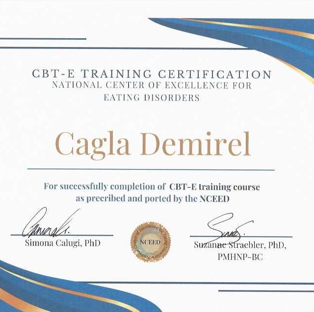 Resmi büyüt: certificate 3