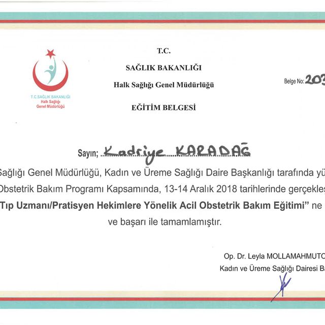 Resmi büyüt: certificate 5